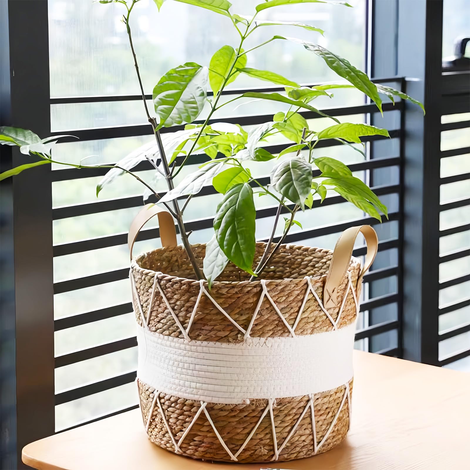 3-częściowy zestaw koszy na rośliny, trawa morska, doniczka ozdobna w stylu boho, średnica 18 cm, 22 cm i 25 cm