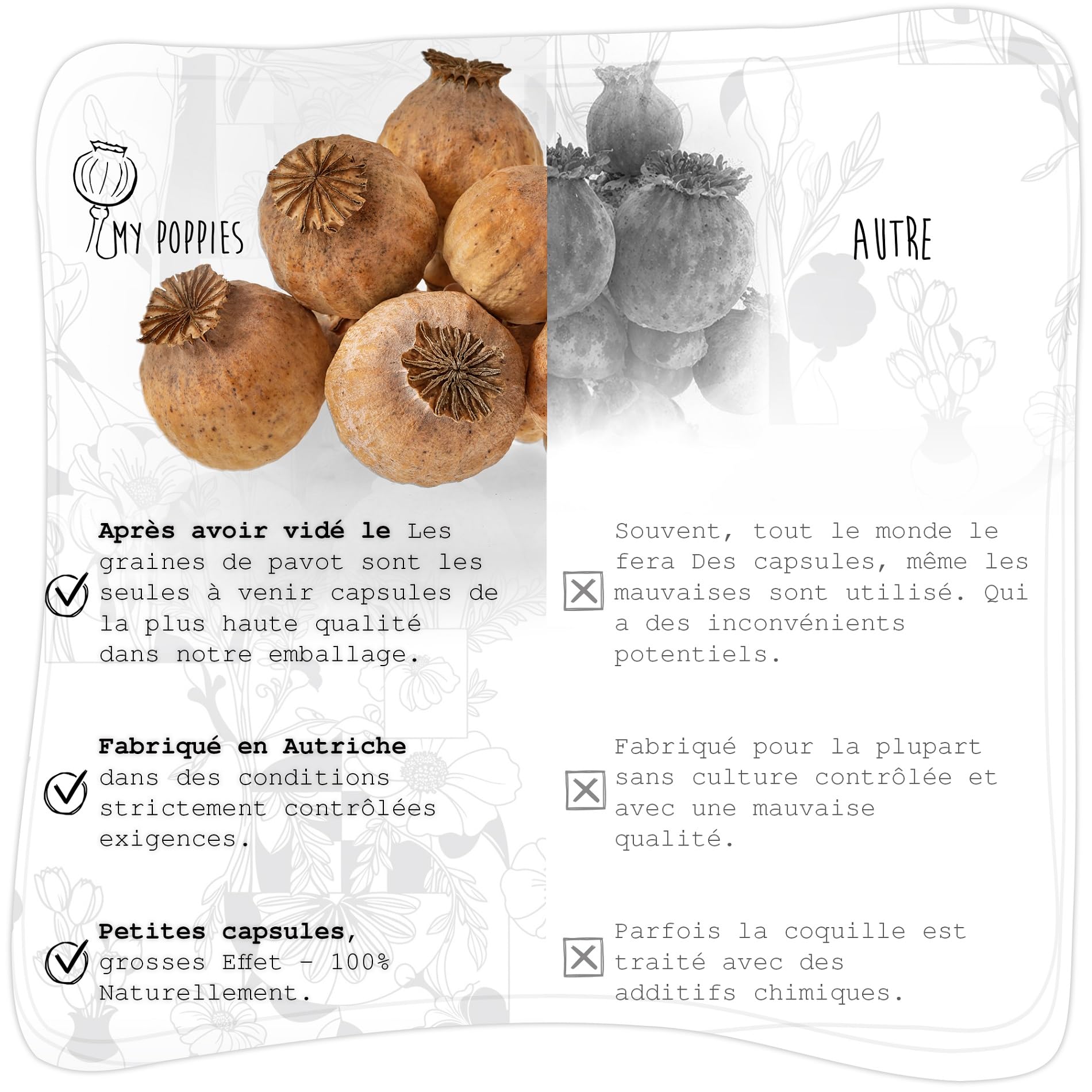 Capsules de graines de Pavot séchées sans Manche, Accessoires de Bricolage & décoration (Petit 200 g)