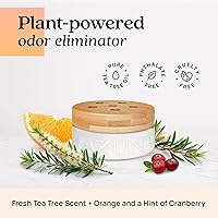 Vista 4 de Azuna Ambientador y Eliminador de Olor para Malos Olores Kit de 4 Habitaciones Incluye (4) Frasco de Vidrio Luxe Vacío y Recarga de Gel de 24oz