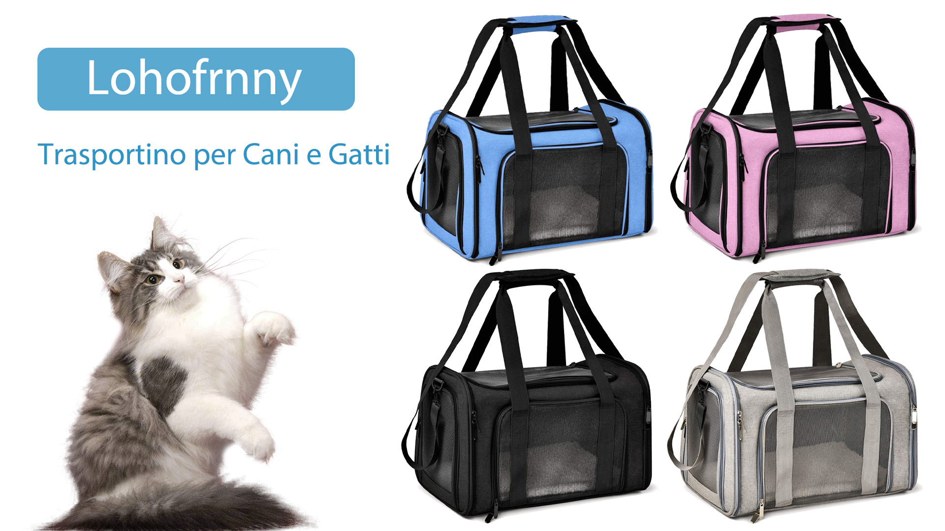 Zaino Cane Zaino Per Trasporto Di Animali Domestici Cani E Gatti