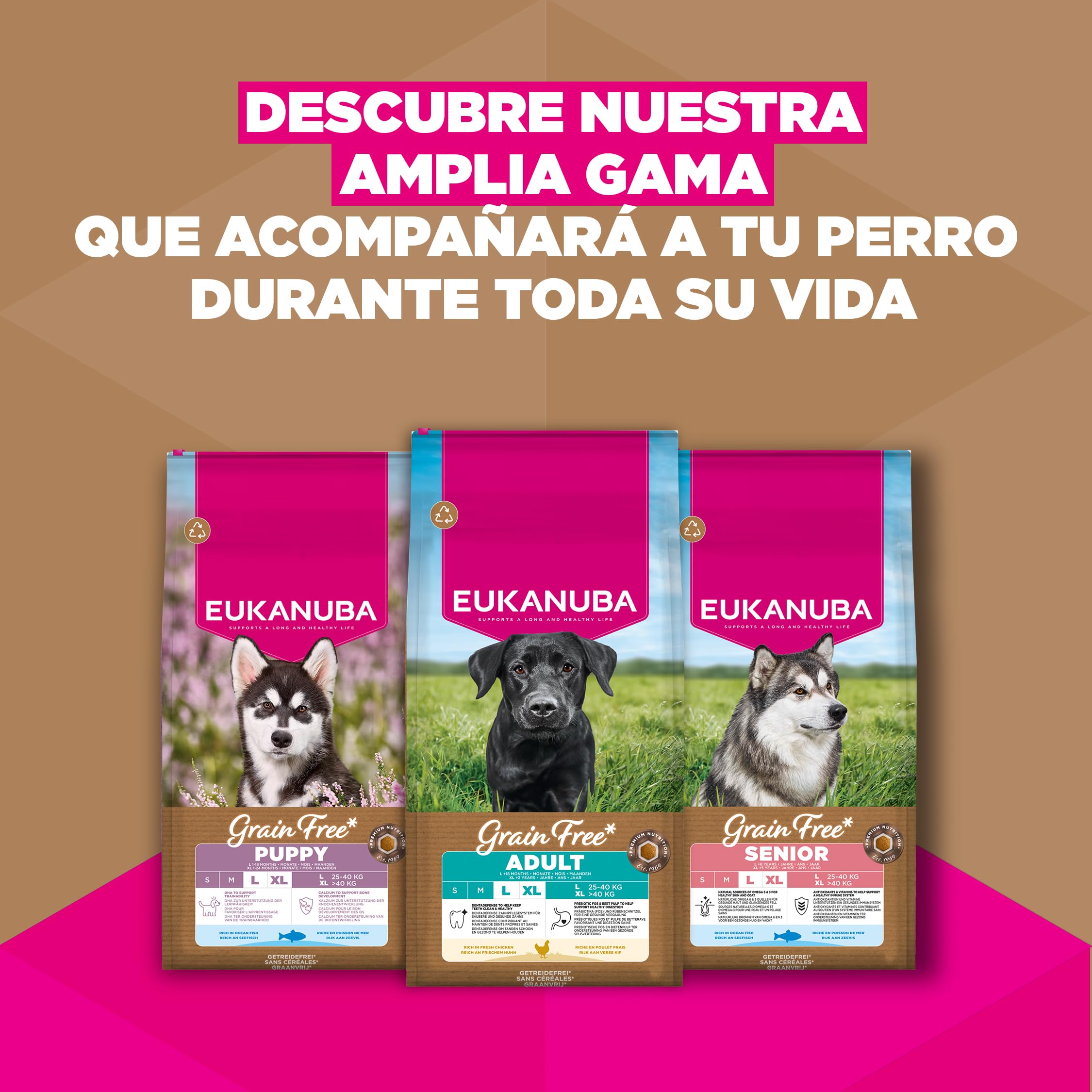 Eukanuba, alimento para Perros sin Cereales con Pollo para Razas Grandes - Alimento seco Premium sin Cereales para Perros Adultos, 12 kg