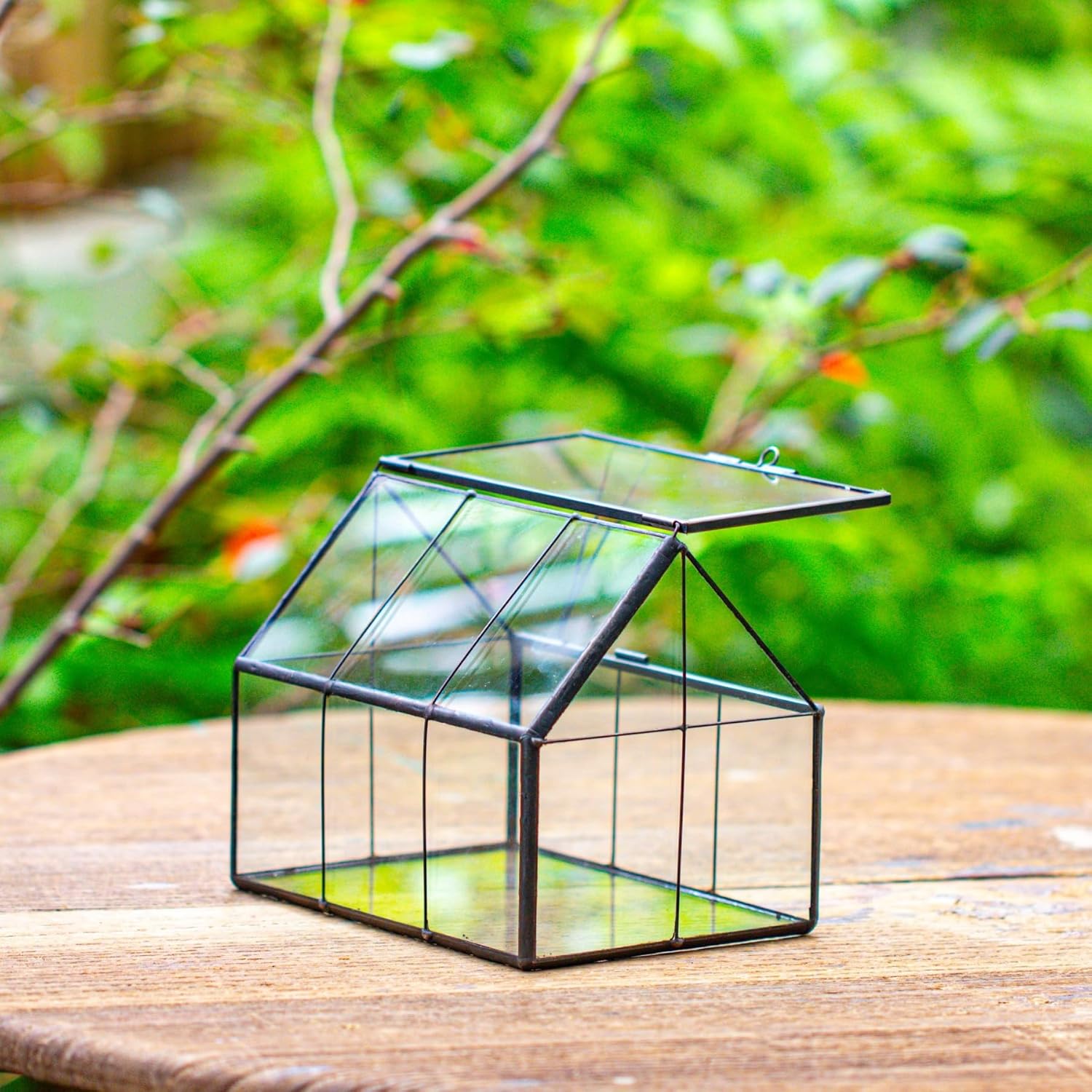 NCYP Mini Glass Terrarium with Lid, Glass Terrarium with Lid and Air Holes, for Small Cactus, Succulents Plants