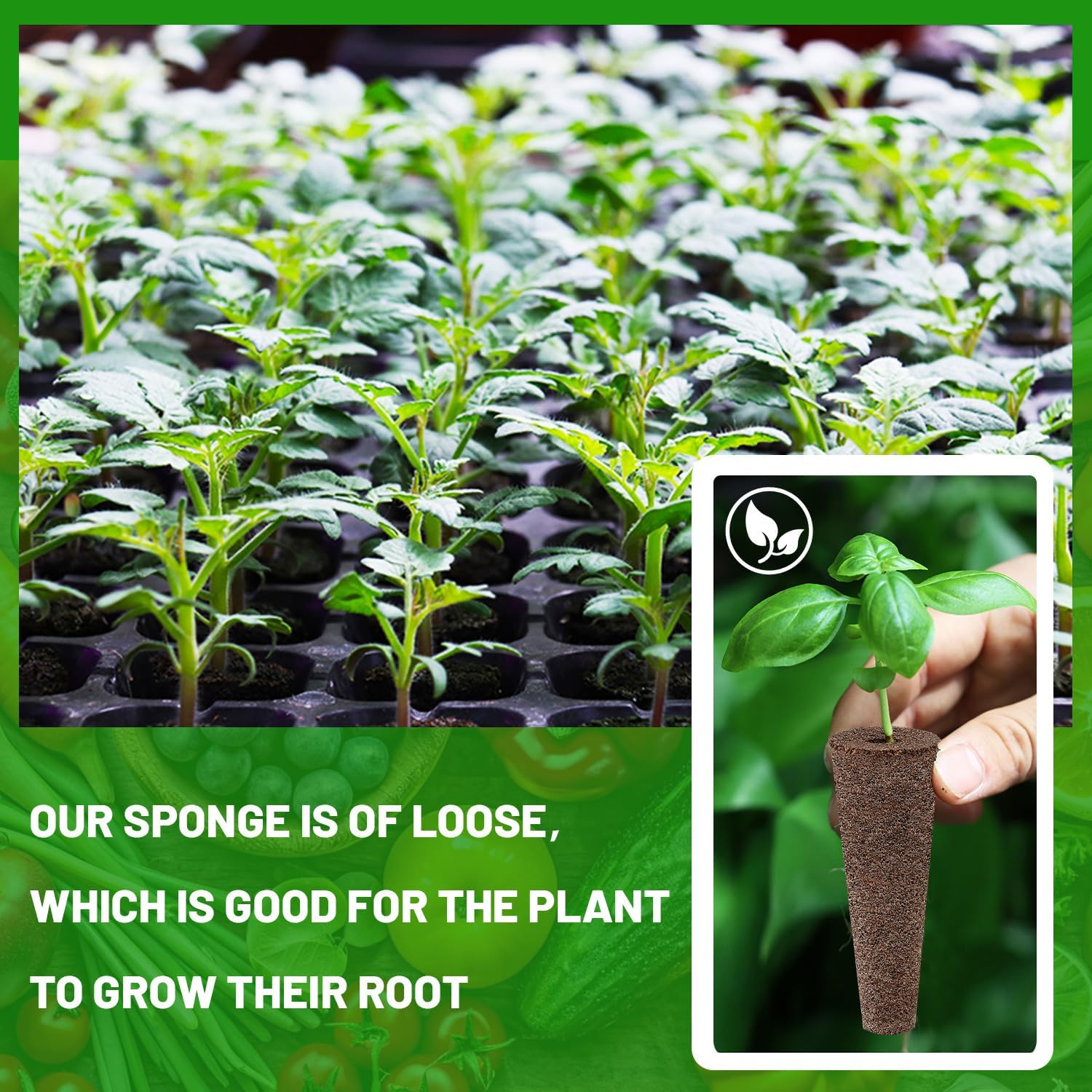 200 Pcs Seed Pods Replacement, Sponges Seed Growth Kit, Grow Sponges for Greenhouses & Germination Equipment, Starter for Indoor Garden System (Black)