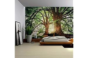 ENJOHOS Forest Tapestry: Your Portal to Nature's Tranquil Embrace
