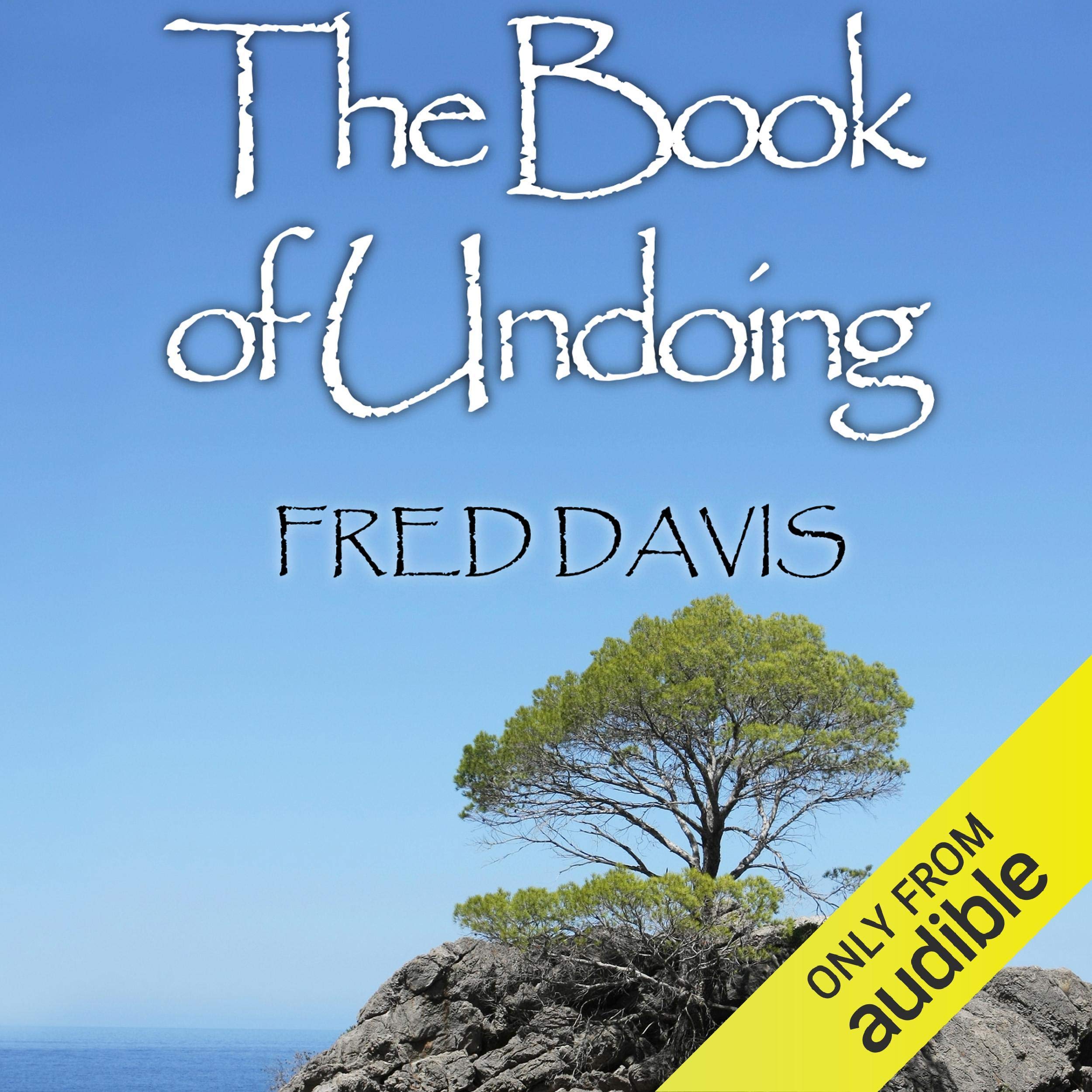 Cover art for The Book of Undoing: Direct Pointing to Nondual Awareness