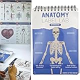 HHJTXWD 93+ Full-Color Dry-Erase Pages, Interactive Anatomy Illustrations, Creative Human Anatomy Busy Book, Full-Color Dry-Erase Pages, Creative Educational Busy Book for Learning Enthusiasts