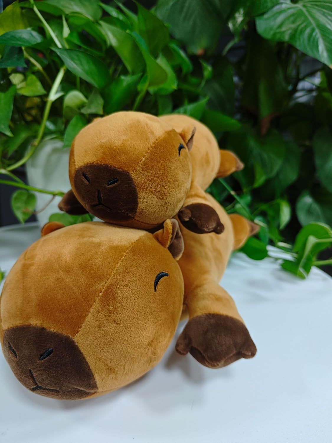 Weighted Capybara Plush, Weighted Capybara Stuffed Animal for Anxiety, Cute Plushies Soft Pillow Toy Gift for Kids Adults (Large (23.6Inch))