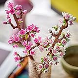 LEGO Botanicals Les Fleurs de Cerisier - Jouet de Construction de Fleurs Artificielles - Décoration Florale pour la Maison ou Le Bureau - Cadeau sur la Nature pour Fille dès 8 Ans & Ado 40725 - 4