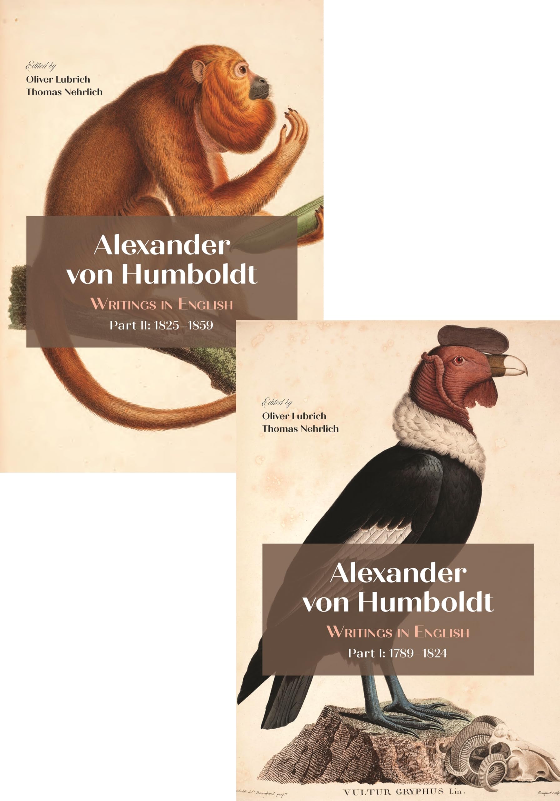 Alexander von Humboldt: Writings in English, 1789–1859: 1220 (Transactions of the American Philosophical Society)