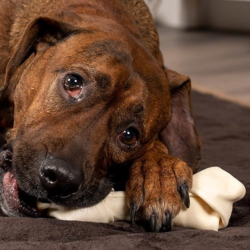 Miniatura 2 de Pet Factory American Beefhide - Golosinas masticables para perros de 6 a 7 pulgadas, sabor natural, 3 unidades1 paquete