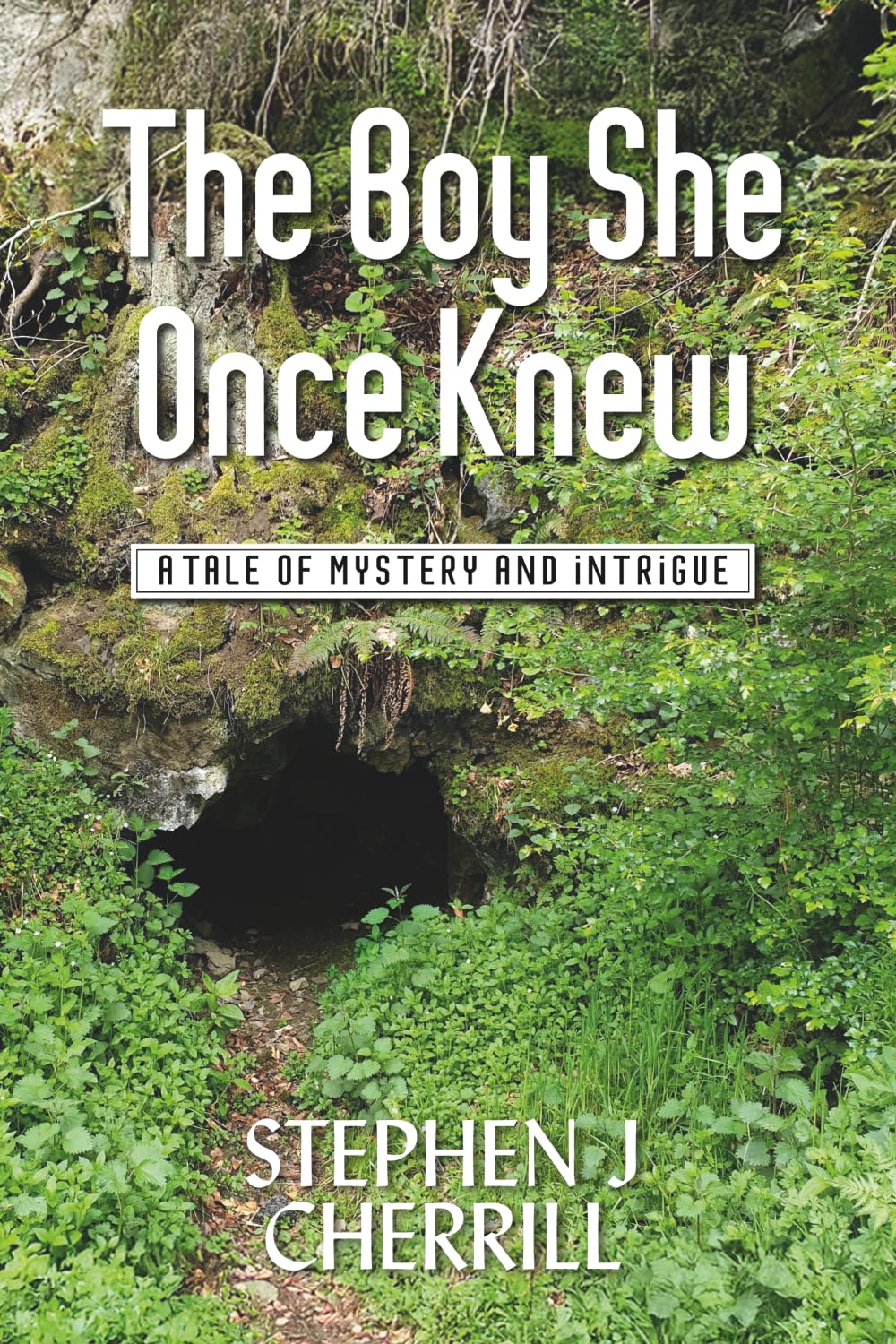 The Boy She Once Knew: A Tale of Mystery and Intrigue (The Ashmarsh Series)
