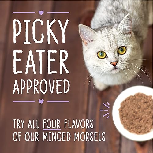Miniatura 9 de Stella & Chewy's Carnivore Cravings Minced Morsels Cans  Grain Free, Protein Rich Wet Cat Food  Cage-Free Chicken Recipe  (5.2 Ounce Cans, Case of