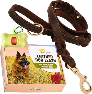 ADITYNA Double Handle Leather Leash