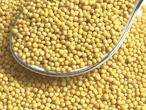 Miniatura 10 de Semilla de mostaza amarilla orgánica, Sinapis alba, sin rellenos, sin aditivos, calidad premium (2)