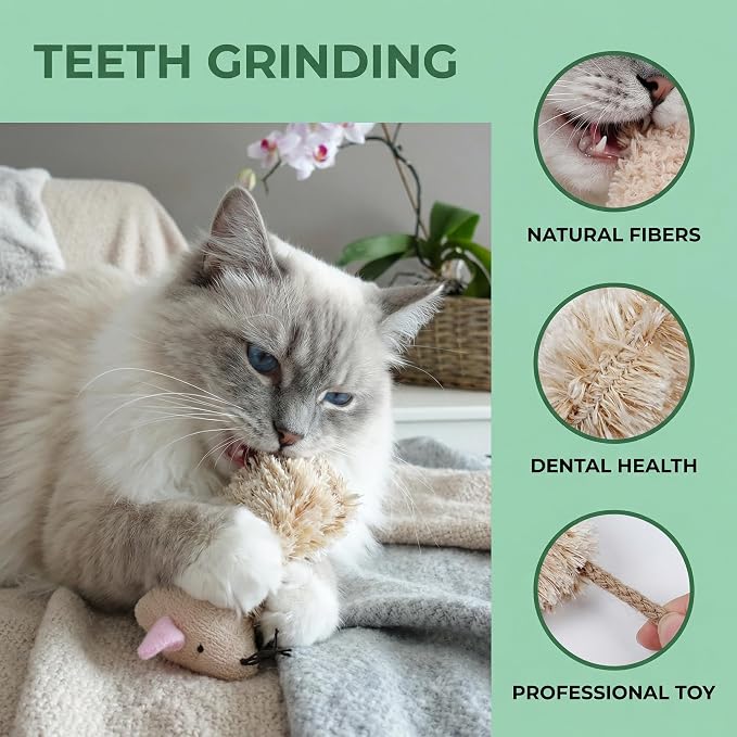 3 juguetes interactivos de catnip para gatos y gatitos miniatura 6