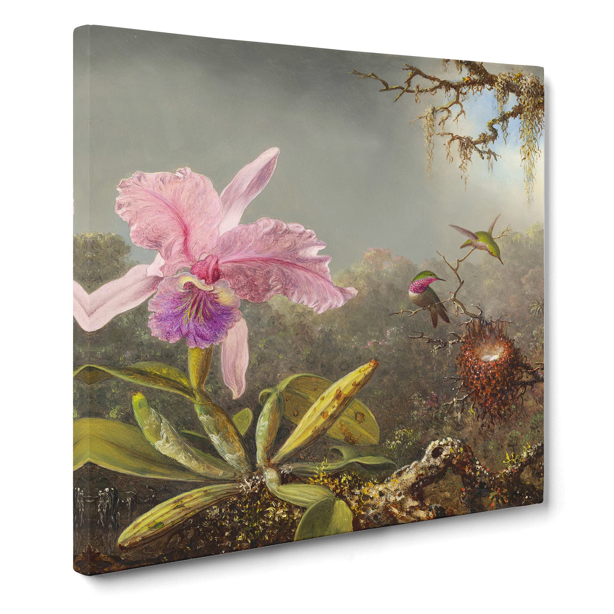 Cattleya Orchid And Hummingbirds by Martin Johnson heade Canvas Print, Mixed, 35L x 35W cm