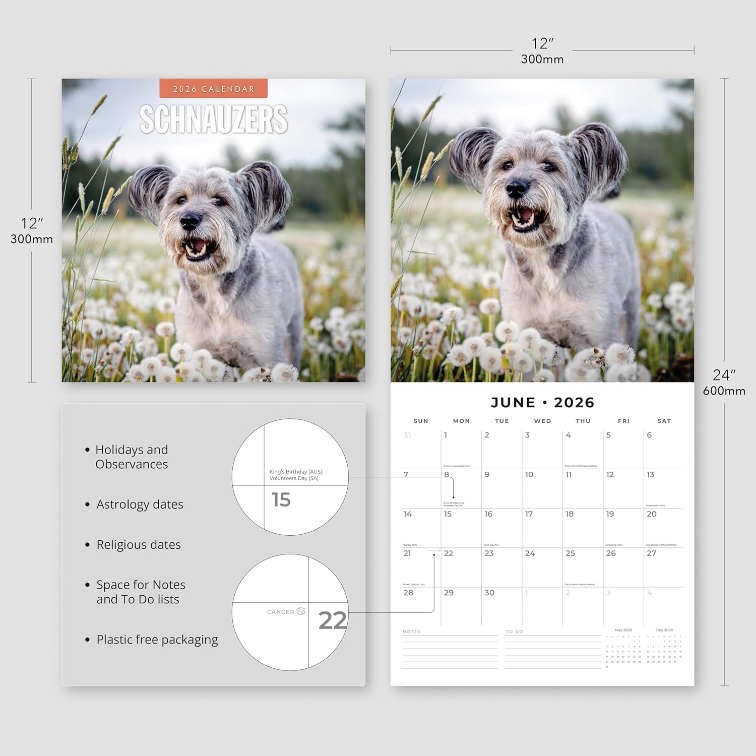 Red Robin 2026 Schnauzers Monthly Wall Calendar | 12" x 24" Open | Premium Thick & Sturdy Paper | Hangable 12 Month Calendar | Lined Notes & To Do Area | Vivid Images | Plastic Free - Image 3