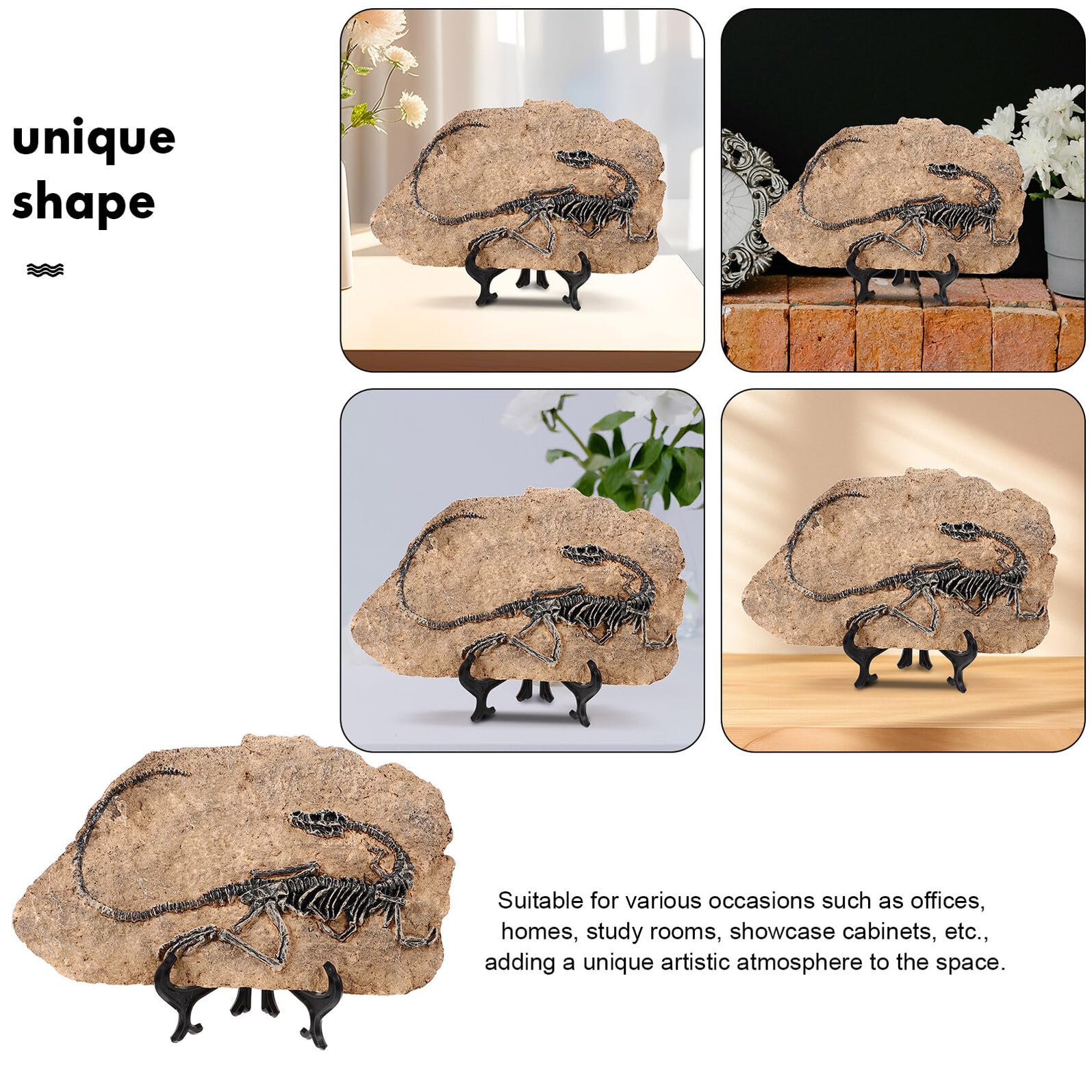 DOITOOL Statua Decorativa Ornamento Realistico per Arredamento di Fossile di Dinosauro in Resina e Regalo Educativi per Ragazza per Casa e Ufficio