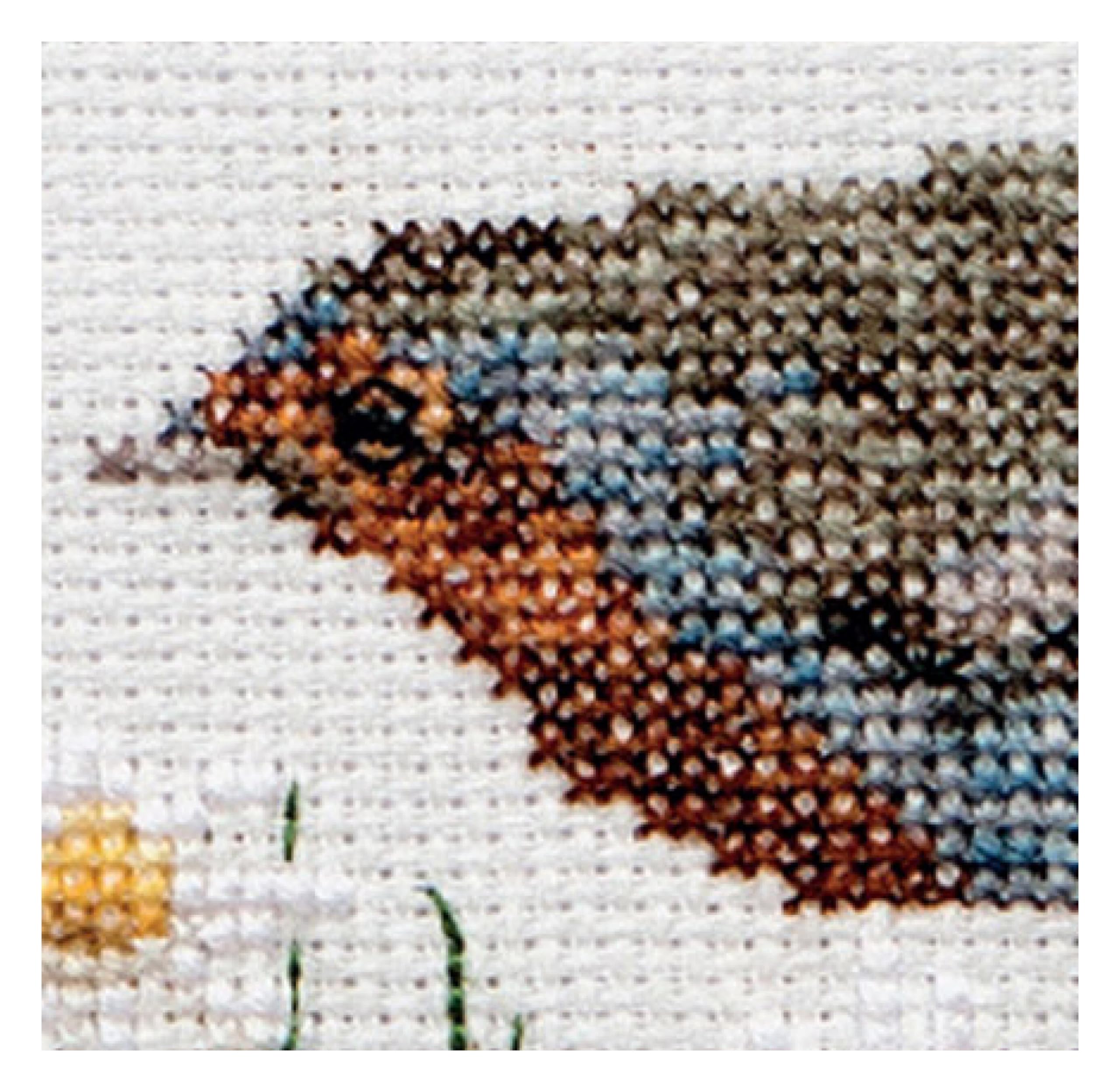 Thea Gouverneur, Counted Cross Stitch Kit, Summer Robin Bird, Aida, 16 Count, Embroidery Kit for Adults - Image 2