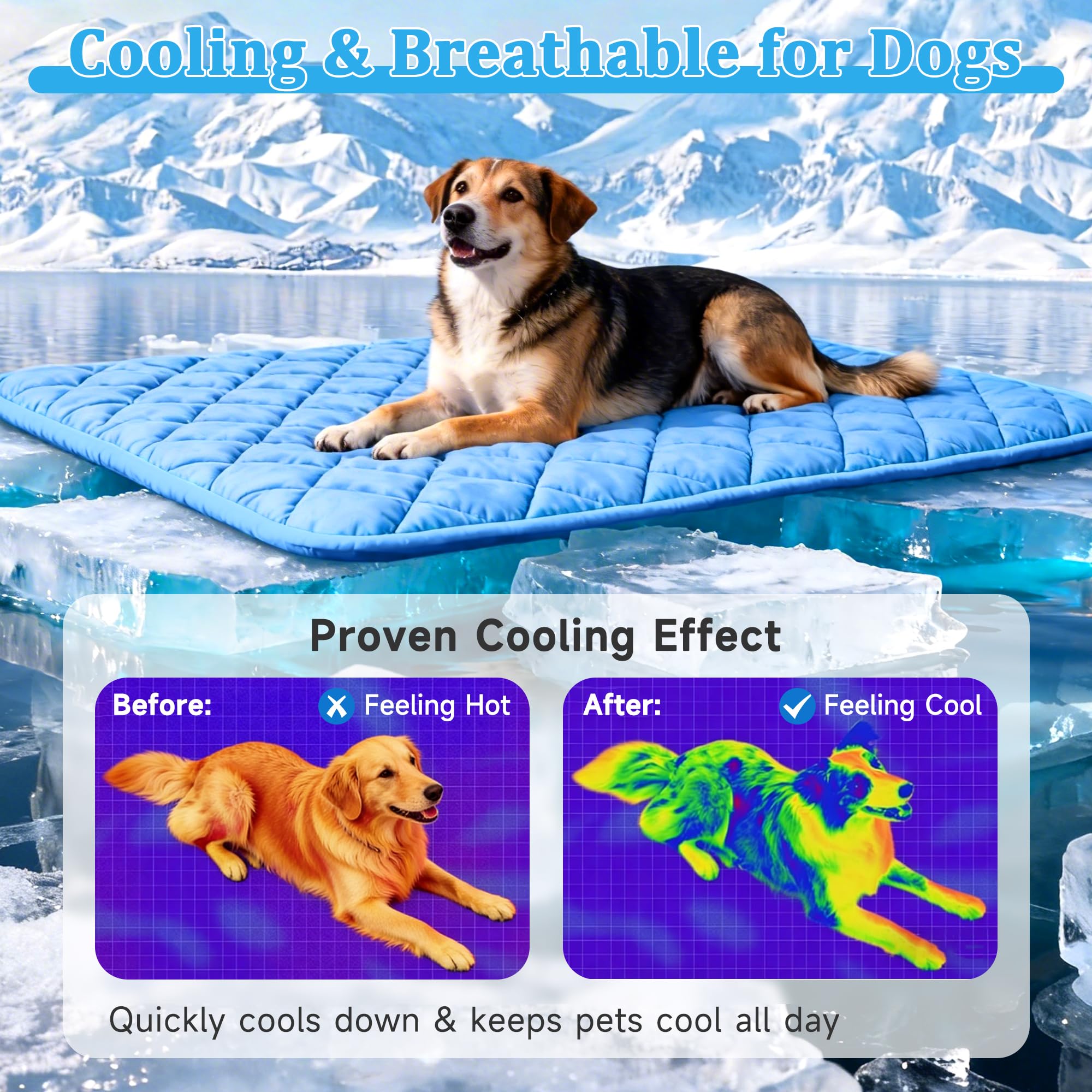 View 3