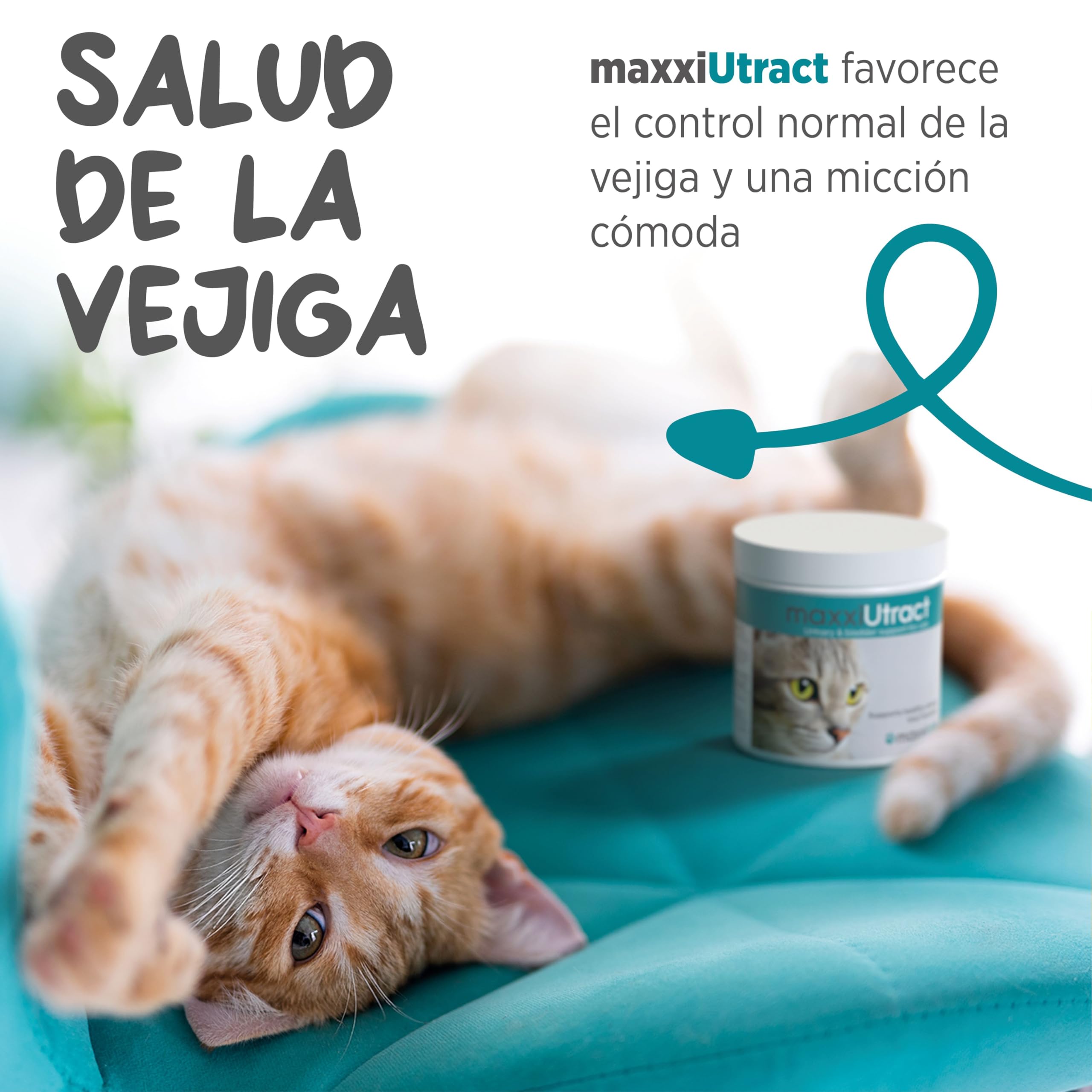 maxxipaws maxxiUtract Apoyo Urinario y de la Vejiga para Gatos - Suplemento en Polvo, 90g