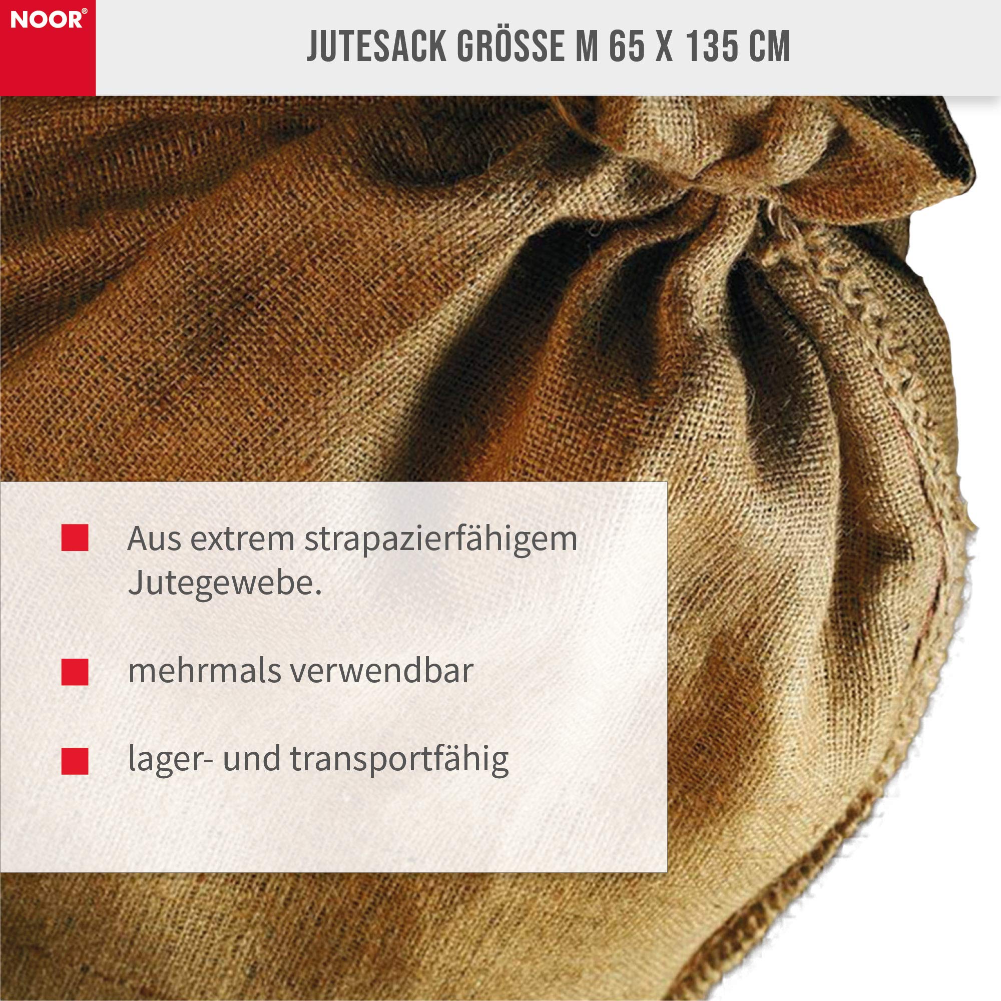 Noor 070651352PJX - Organizador de Semillas para jardinería, XL