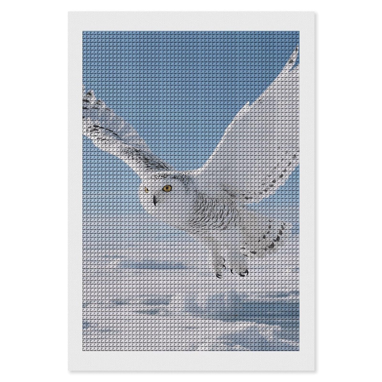 FodPand White Snowy Owl 5D Diamond Painting Kits for Adults Beginners Full Drill Square Diamond Dots Pictures Gem Art Supplies for Home Wall Room Decoration DIY Craft Set Gift 8X12