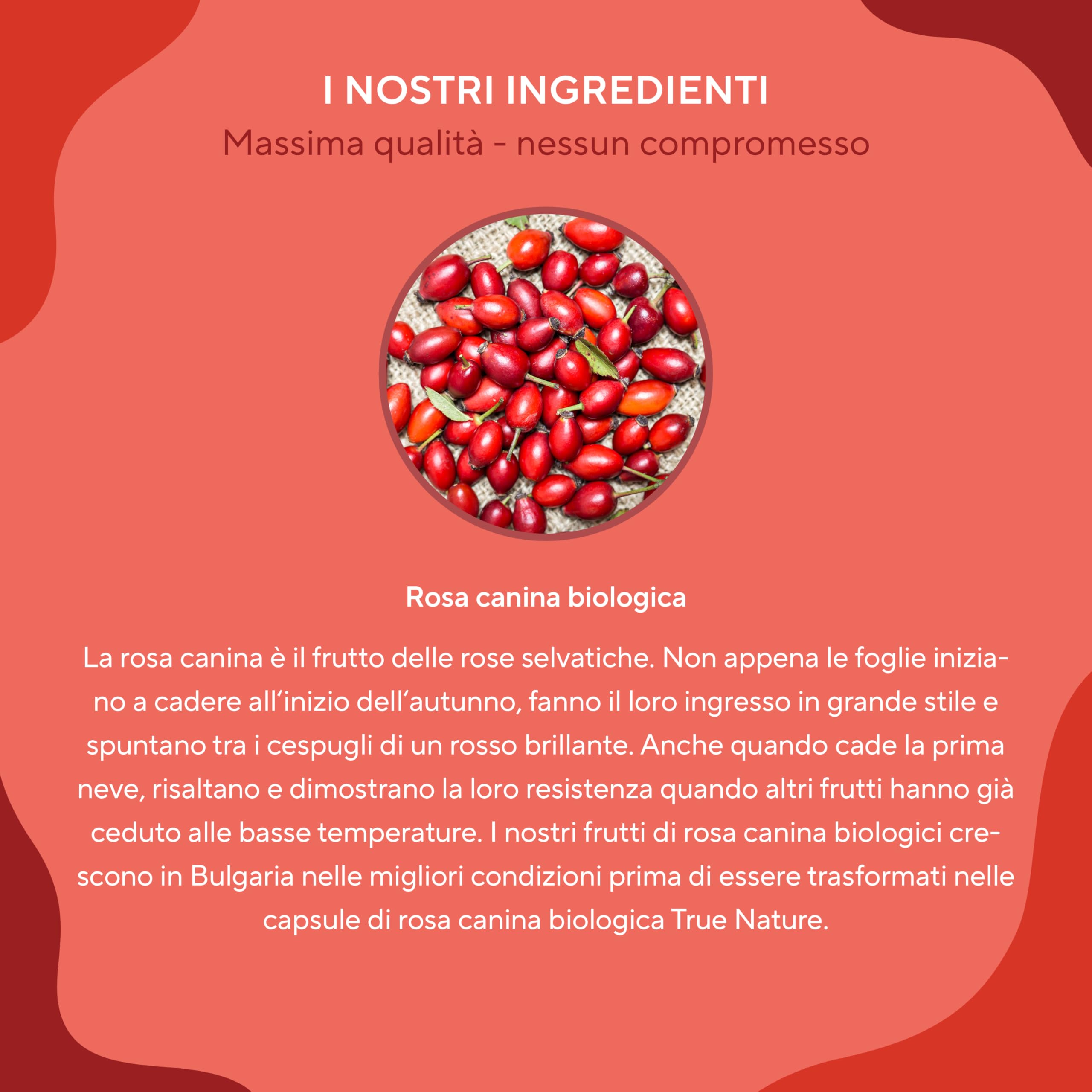 Rosa Canina Biologica - 3900 mg di dosaggio elevato - 360 Capsule (650 mg di polvere di rosa canina) - Vegan, senza glutine e senza lattosio - Testato in laboratorio - TRUE NATURE®