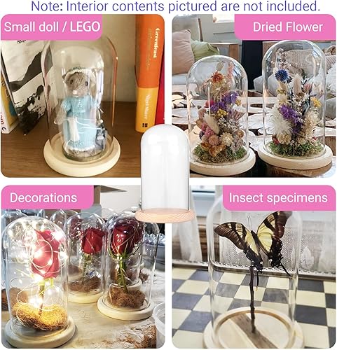 Miniatura 5 de Ivolador - Cúpula de cristal de 7 x 4 pulgadas con base de madera maciza, gran tamaño, oficina, hogar, decoración