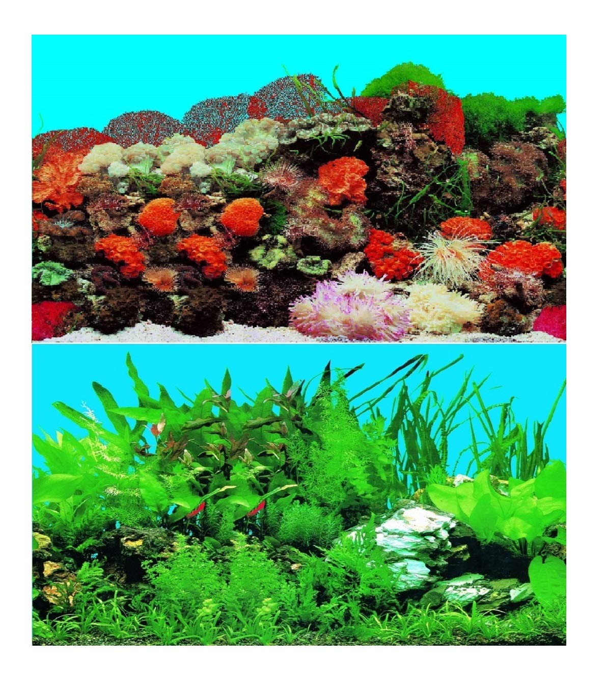 Hidom Aquarium Background Poster Double Sided - Height 16" / 40cm - Length 6 FT / 183cm - Two Scenic Pictures displaying Aquatic Backdrops - DS-400-9001/9003