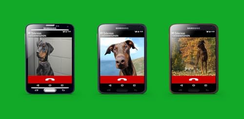 Doberman Fake Call Prank ( Funny Pet Calling Prank ) - Gag fake Prank Call from Doberman Pinscher Do