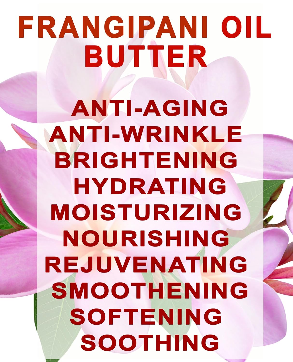 Botanical Beauty FRANGIPANI OIL BUTTER 100% Natural. Frangipani Essential Oil in Shea Nut Butter for FACE, SKIN, BODY, HAIR, NAILS. Beauty Skin Moisturizer Oil Butter. (16 Fl Oz)