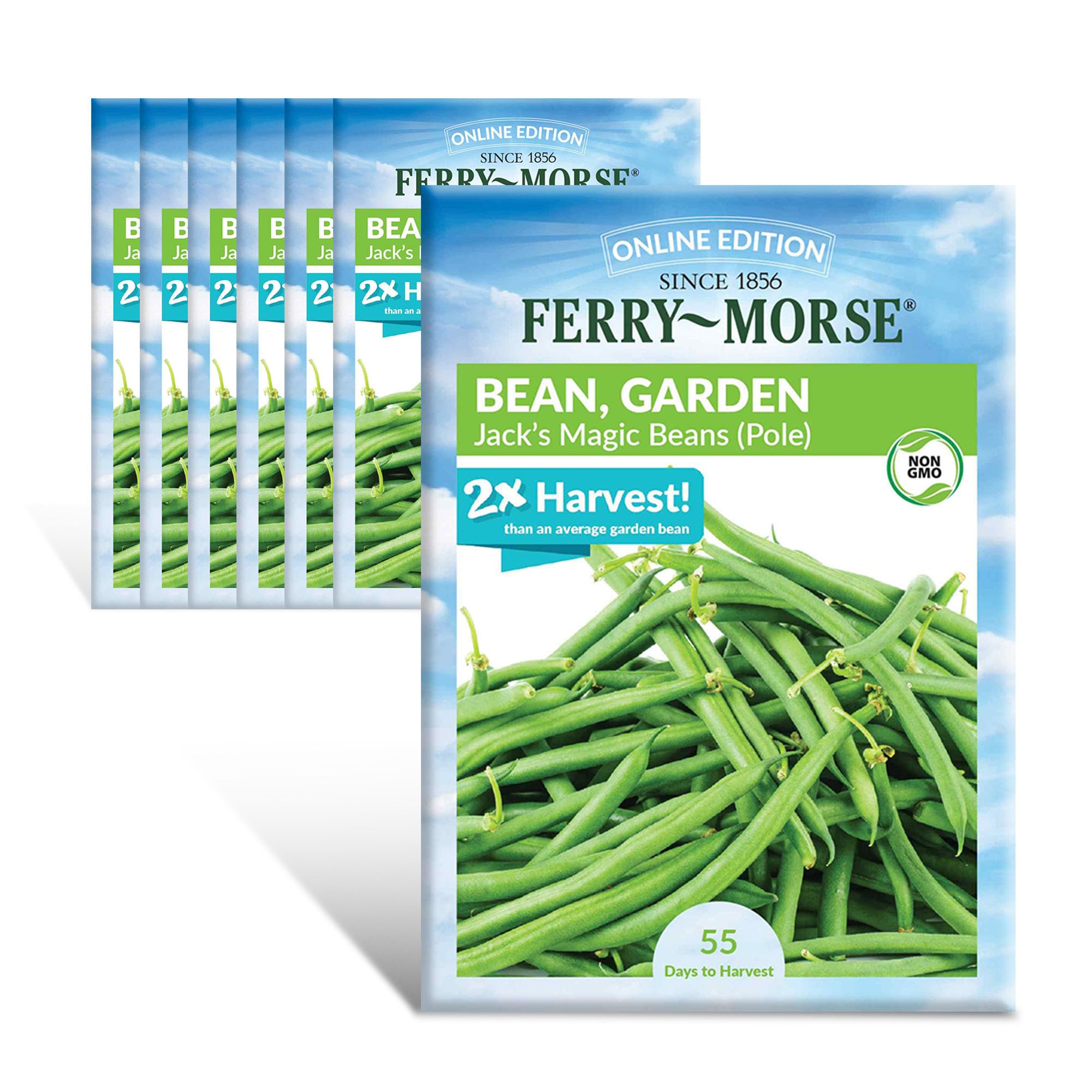 Ferry-Morse Online Edition Bean Jack's Magic Pole Vegetable Plant Seeds - GMO Free, Outdoor - 7 Pack (Ferry-Morse Exclusive)