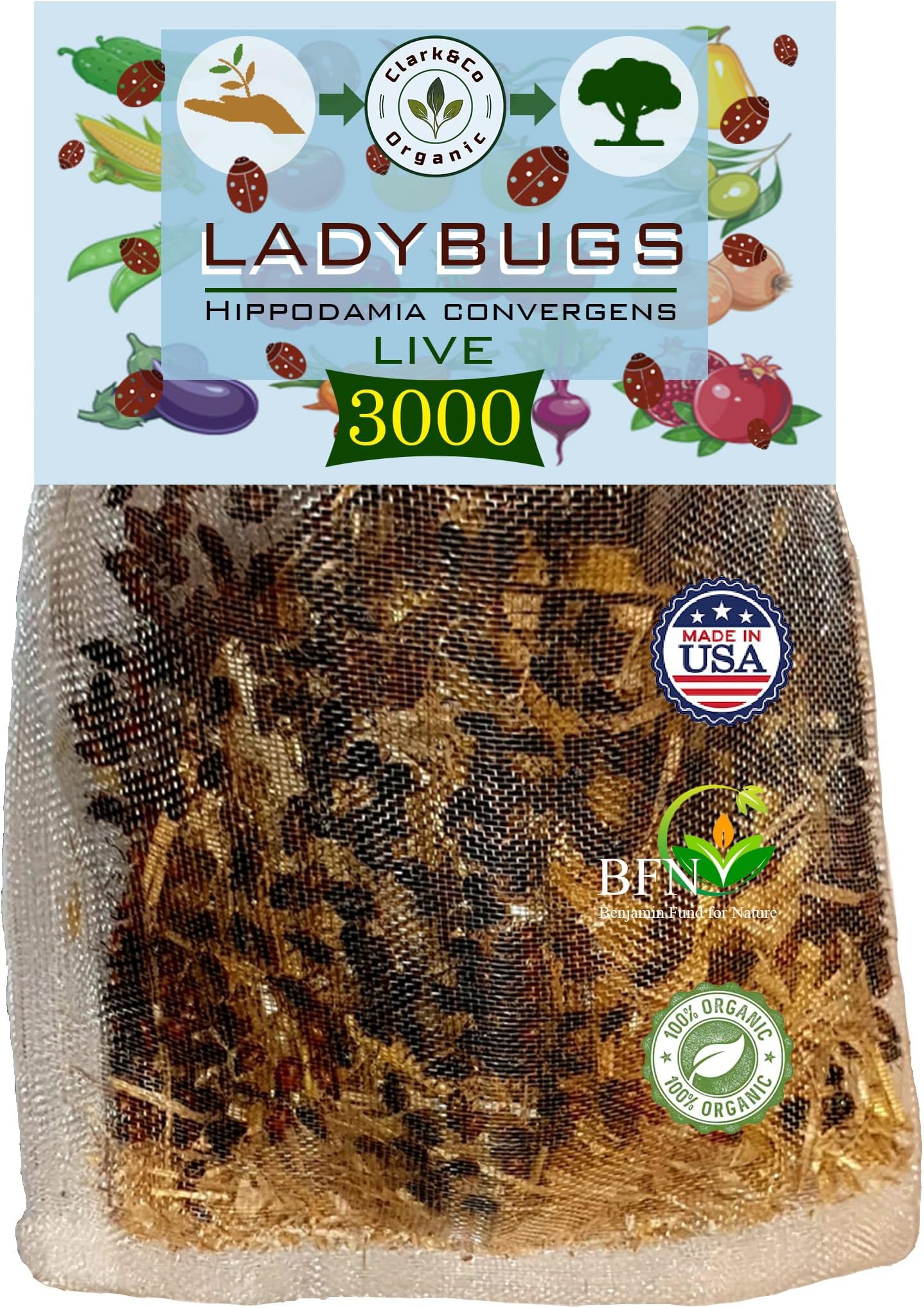 Clark&Co Organic 3000 Live Ladybugs Insects - Good Bugs for Garden - Guaranteed Live Delivery!