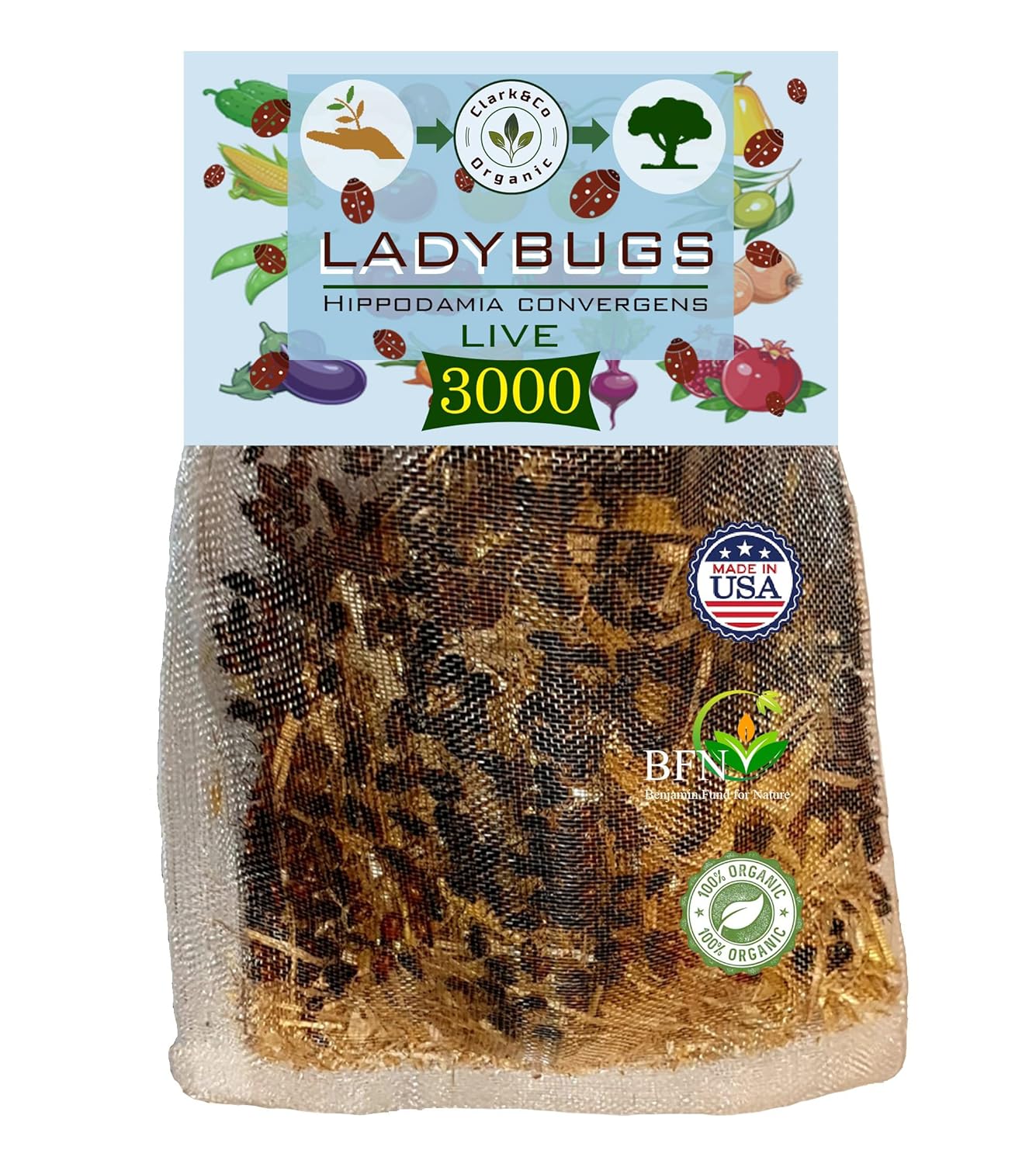 Clark&Co Organic 3000 Live Ladybugs Insects