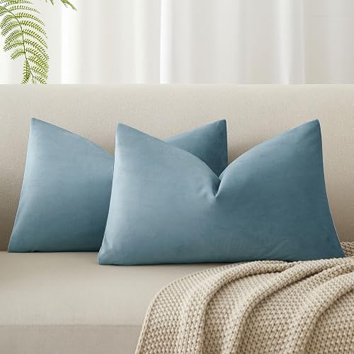 JUSPURBET 12x20 Velvet Lumbar Throw Pillow Covers Set of 2,Light Blue | Modern Soft Decorative Cushion Covers with Hidden Zipper for Couch Sofa Bed Living Room Bedroom Home Decor