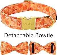 Vista 4 de ARING PET Collar de otoño para perro, lindo collar de perro amarillo con lazo, ajustable de algodón con hojas de otoño, pajarita con hebilla