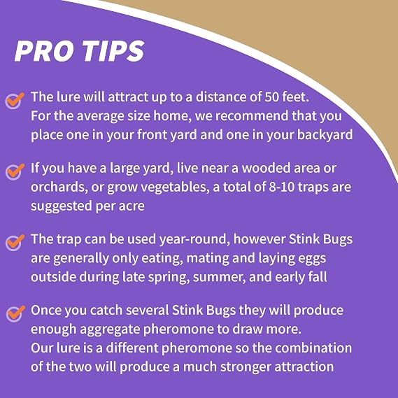 Bonide Bug Beater Stink Bug Trap | Attracts and Catches Stink Bugs Indoors and Outdoors, Long Lasting, Odorless Protection