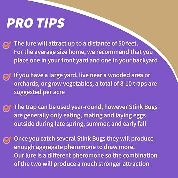 Bonide Bug Beater Stink Bug Trap | Attracts and Catches Stink Bugs Indoors and Outdoors, Long Lasting, Odorless Protection