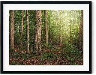 Sacred Grove Print - By Robert Boyd | First Vision | Church History Art | Joseph Smith Painting | Prophet of the Restoration | Come Follow Me: Doctrine Covenants | Lds Pioneer Art Art | Robert Boyd Art | Sunday School Supplies | Missionary Gifts (UNFRAMED) (11x14 Print - 9x12 Image)