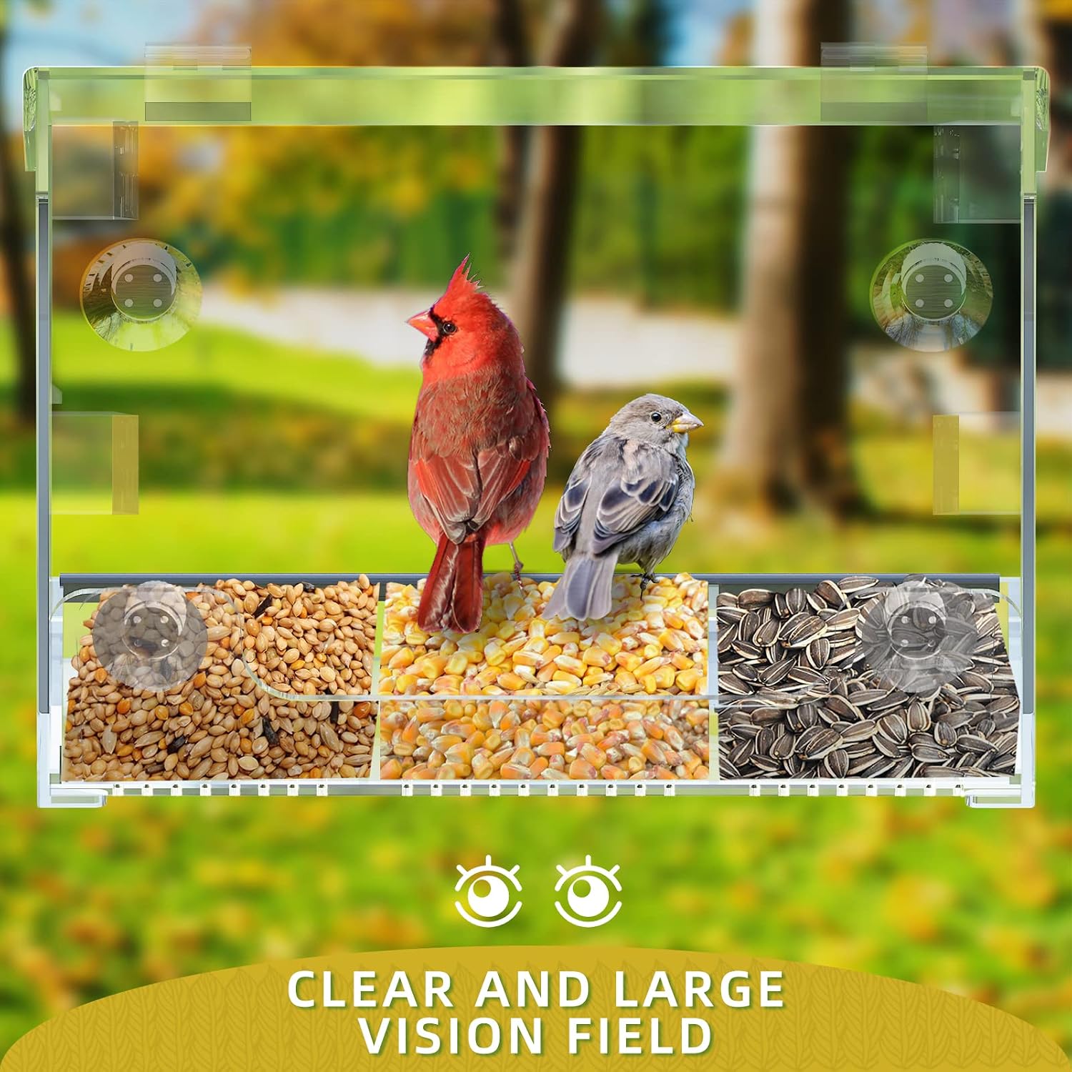 Ermete Window Bird Feeders with Strong Suction Cups, Clear Bird Feeder Window, Window Bird Feeder with Seed Tray, Large Outside Hanging Birdhouse Kits with Drain Holes (9.88in ×3.74in ×8.11in)