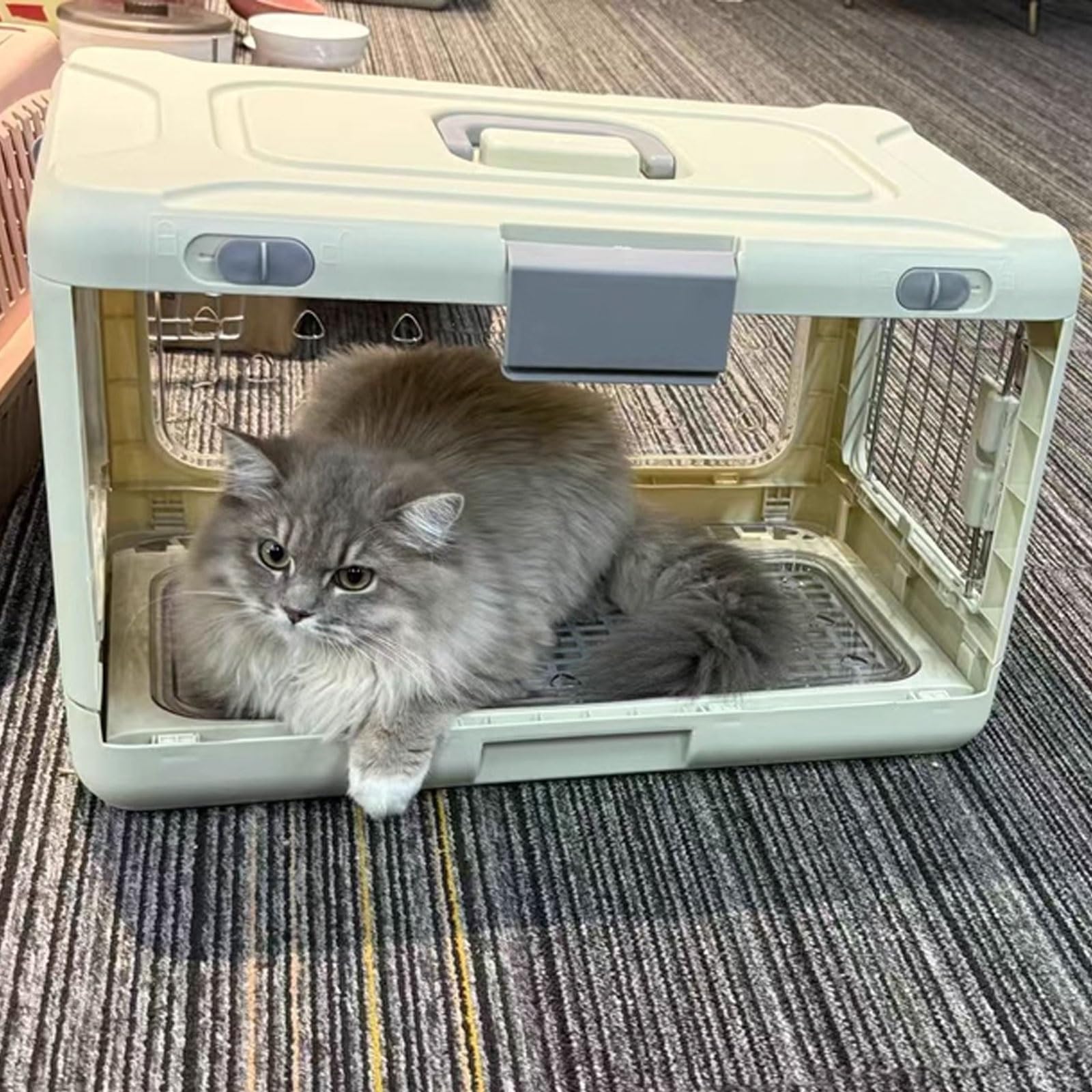Gabbia per cani pieghevole, design trasparente pieghevole con cuscinetto impermeabile, facile da pulire, cuccia per interni, realizzata in materiale PP