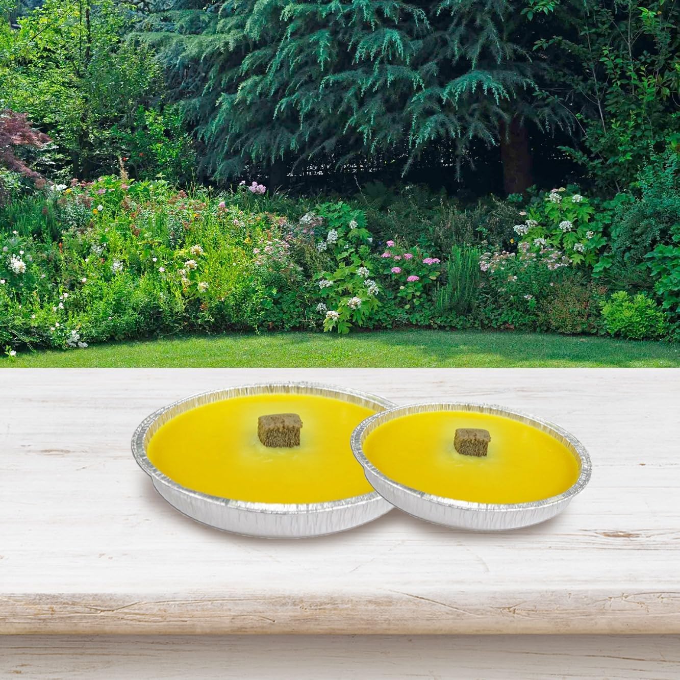 Candele alla Citronella, Candele Antizanzare Da Esterno, 60 Pezzi, Diametro 11 cm, Fiaccola in Ciotola di Alluminio, Repellente per Insetti, Durata 4 ore, Ideale per eventi e Cene all’Esterno