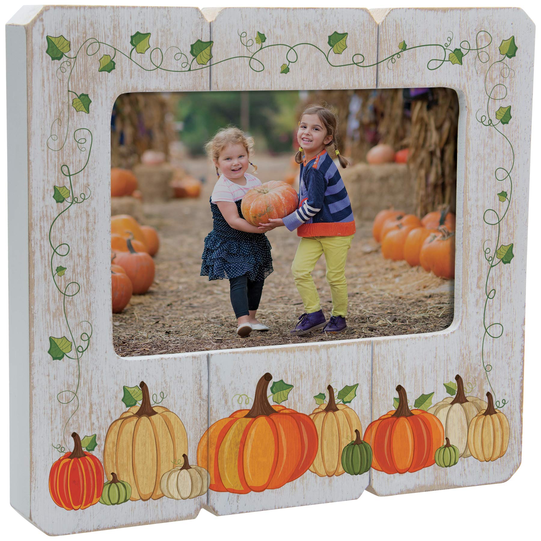 Neil Enterprises Inc. Fall Pumpkin 6