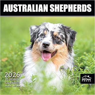 MICASA Australian Shepherds Aussies 2026 Wall Calendar 12 Month | 12" x 24" Open | Thick & Sturdy Paper | Giftable | Calendar 2026