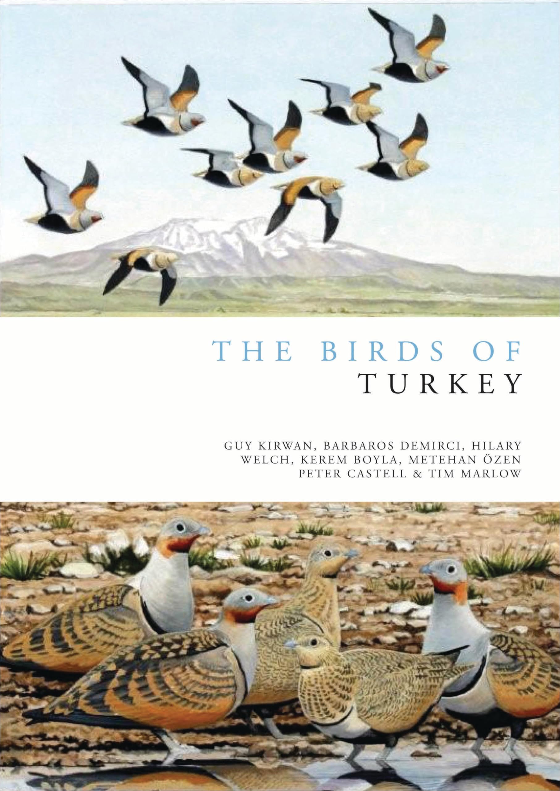 The Birds of Turkey (Helm Avifaunas) (English Edition)