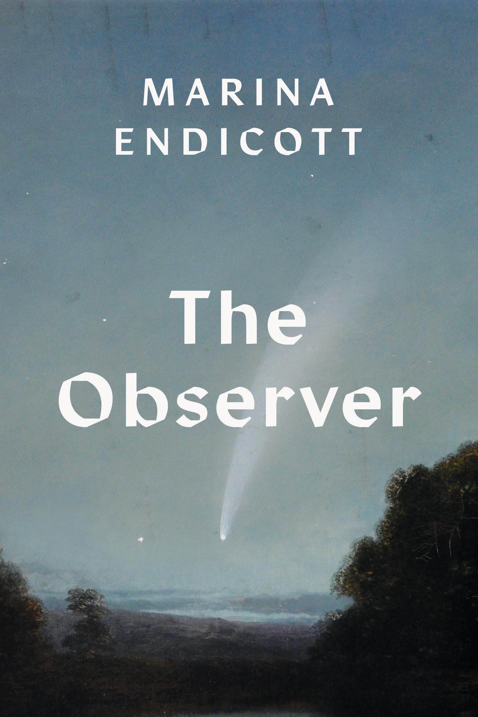 Buy The Observer: A Novel — BookShops.in
