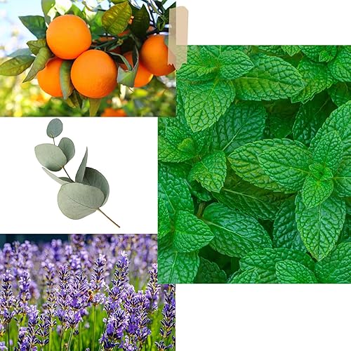 Miniatura 6 de Vela perfumada de Navidad  Vela de cera de soja de 6 onzas, reno de Navidad, infundido con aroma a menta, caja de regalo escocesa azul marino y rojo