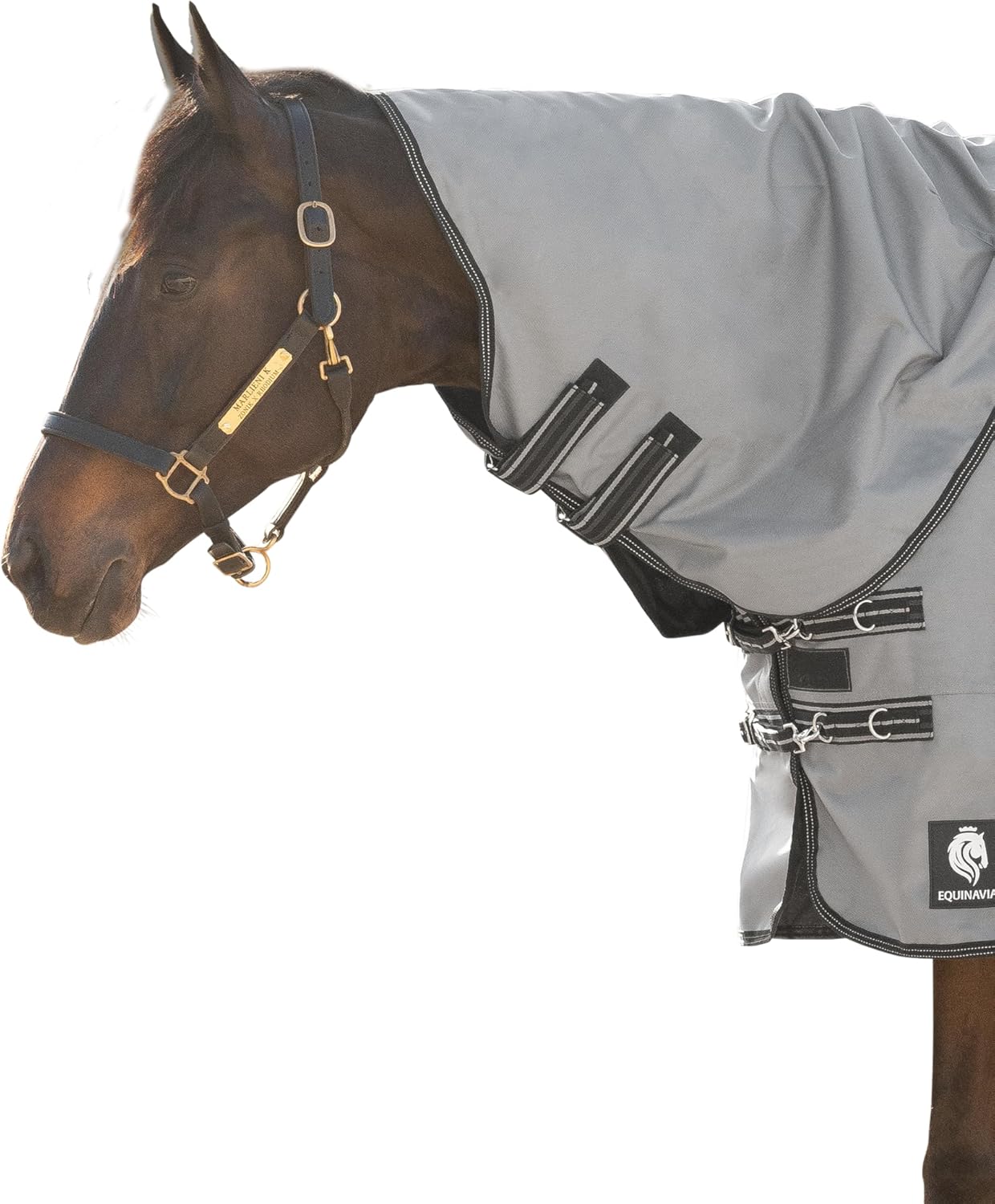 Equinavia Arktis Turnout Neck Cover No Fill | 1200 Denier - Carbon Gray - L