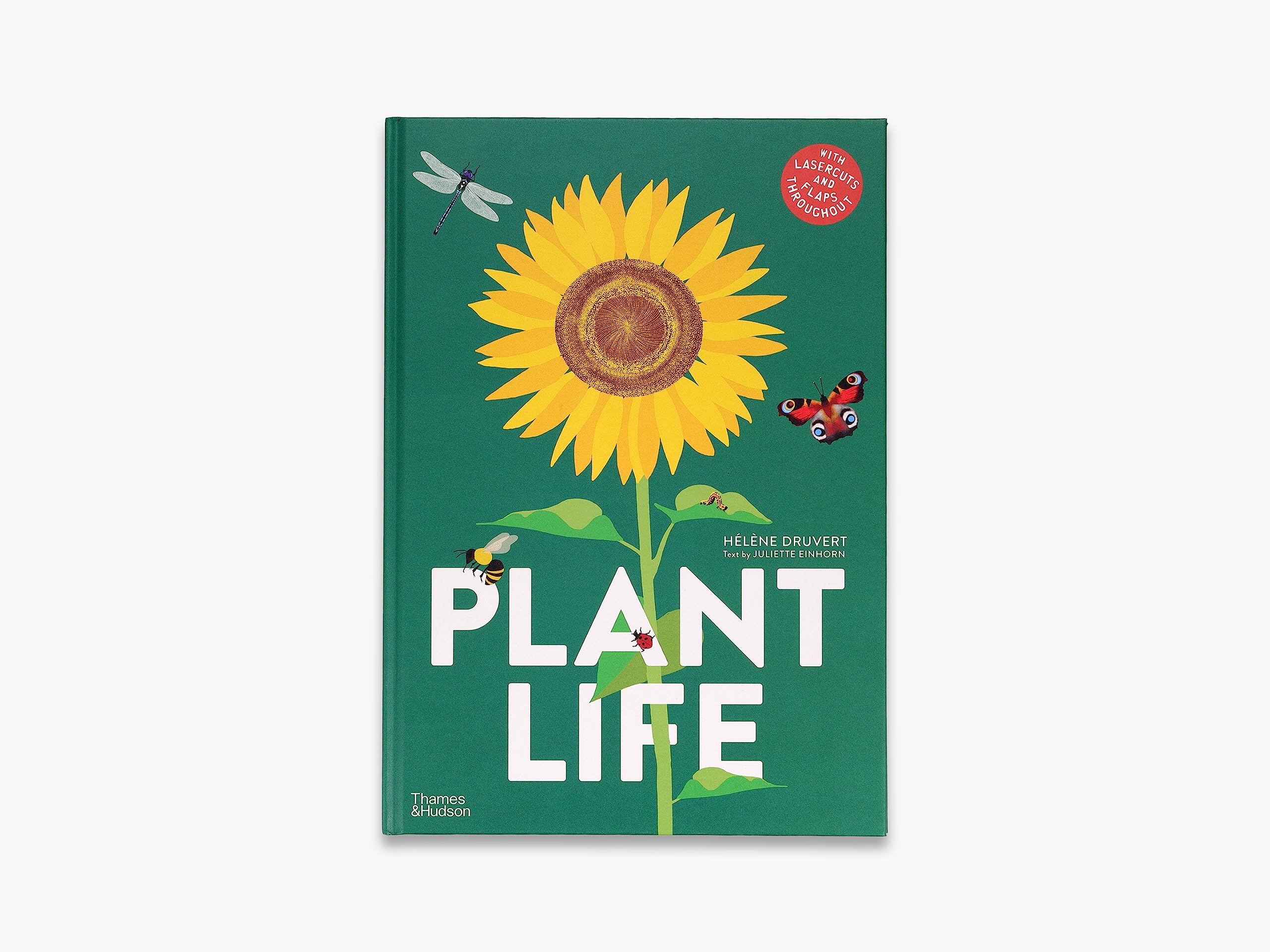 Plant Life /anglais